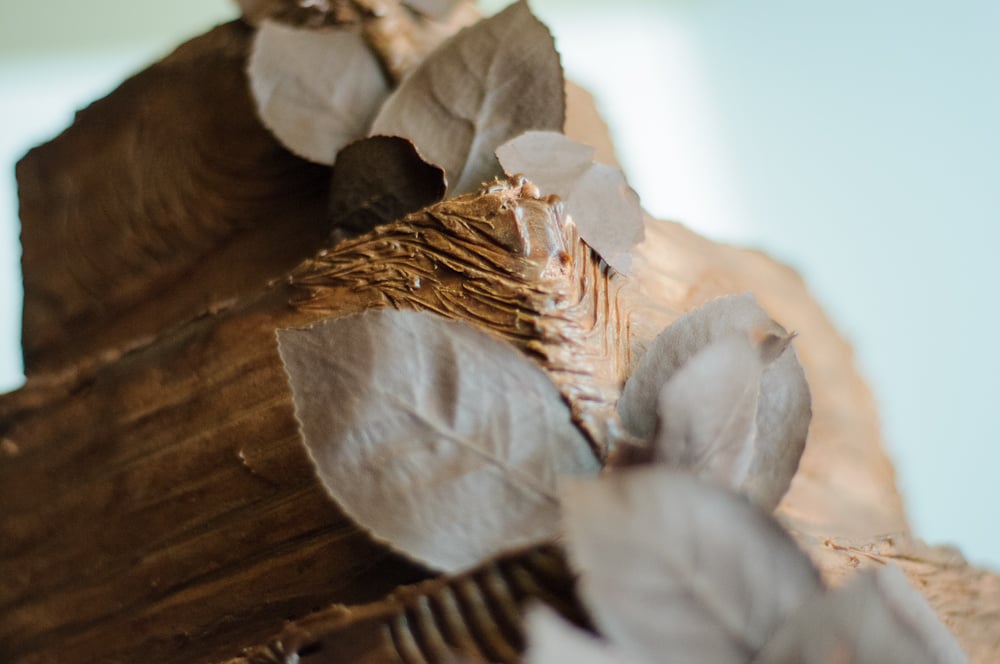 Woodlike Chocolate Wedding Cake 